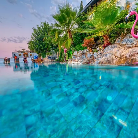 Otel Illusion & Clubhotel - Adults Only Alanya